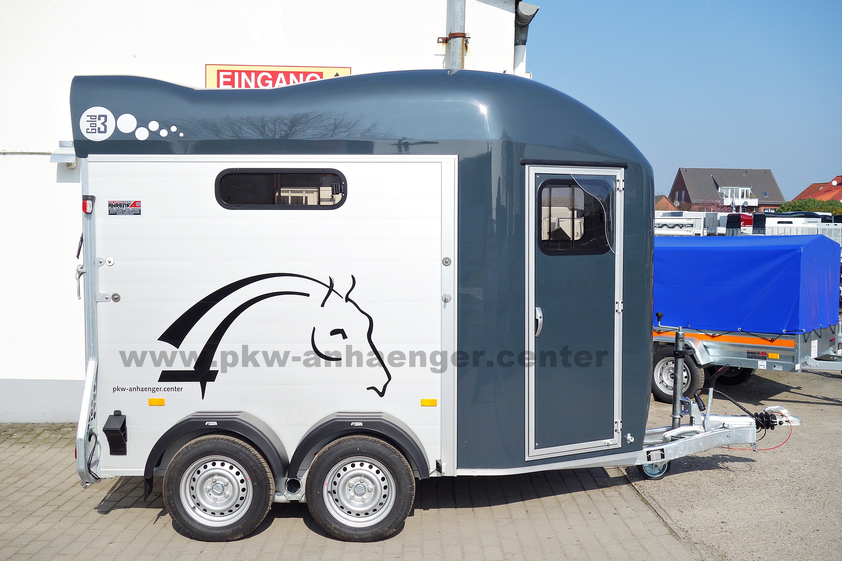 a-CH-Gold3-dklgrau-2